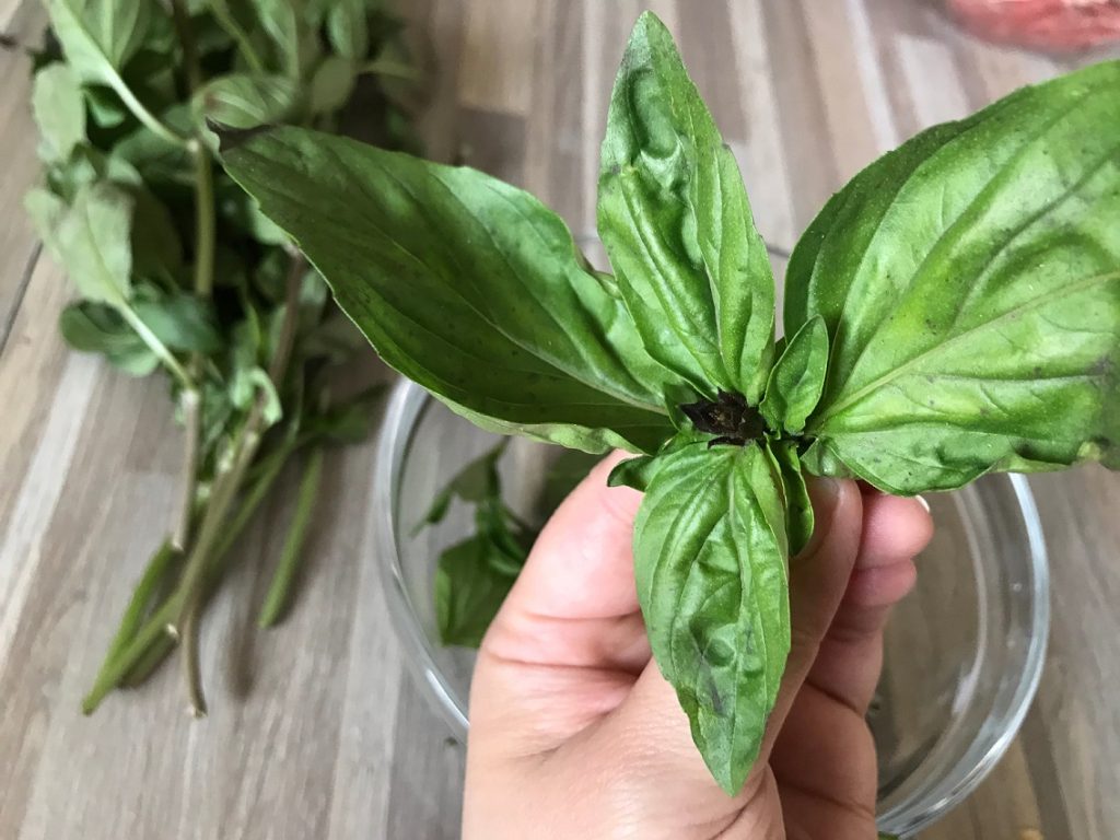 Thai Basil are a must for this dish